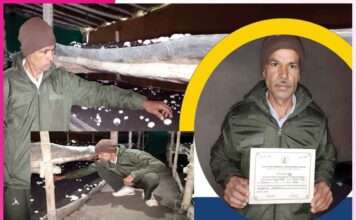 Mushroom Farmers: डीजल मैकेनिक से बना मशरूम उत्पादन में प्रगतिशील किसान Mushroom Farmers