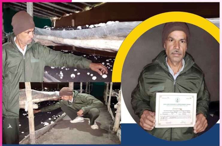 Mushroom Farmers: डीजल मैकेनिक से बना मशरूम उत्पादन में प्रगतिशील किसान Mushroom Farmers