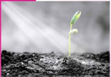 प्रकृति का नियम law of nature