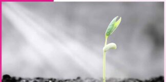 प्रकृति का नियम law of nature