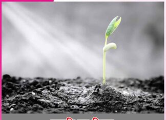 प्रकृति का नियम law of nature