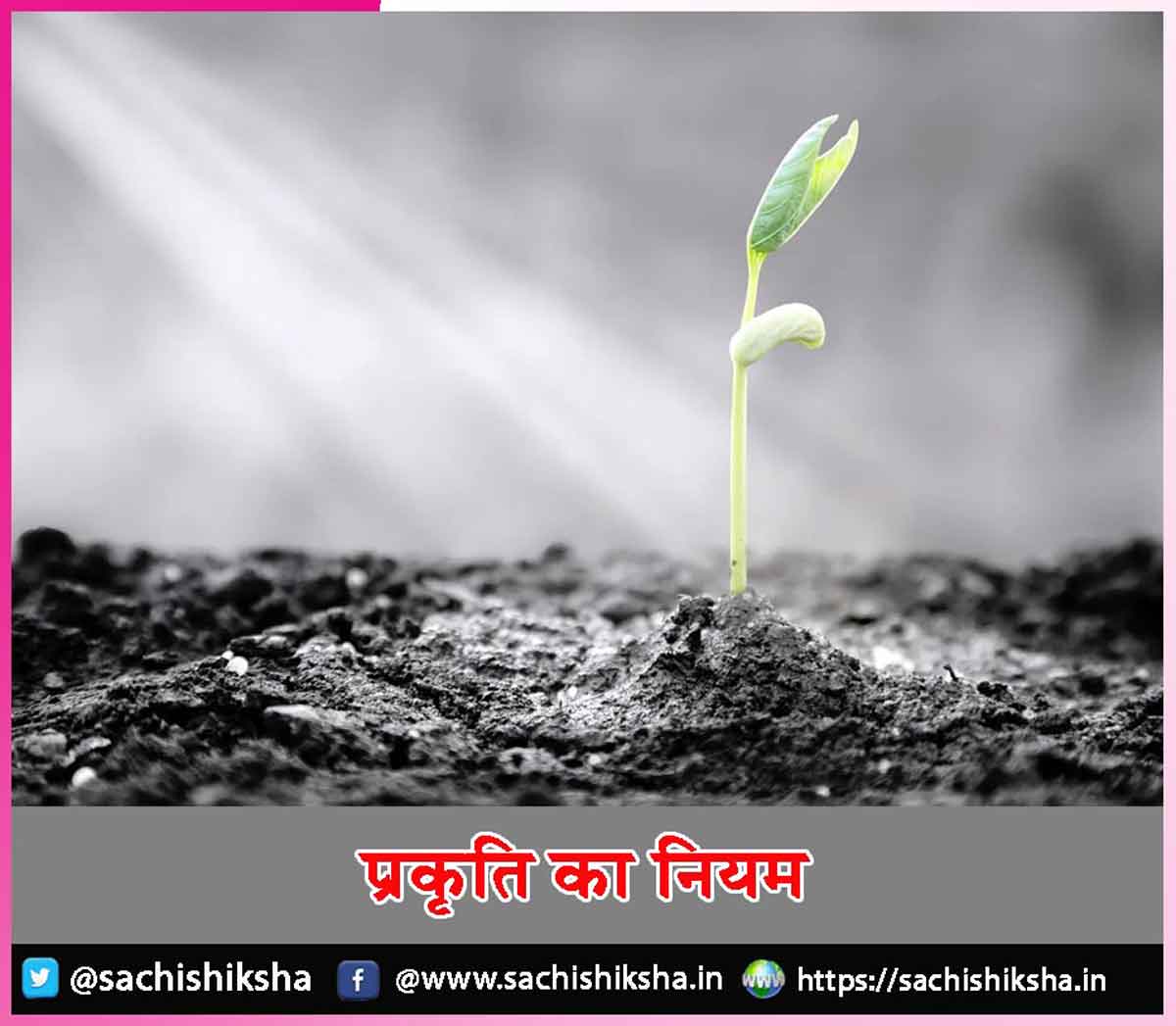 law of nature law of nature