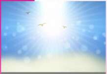 जीवन में धन की उपादेयता money in life