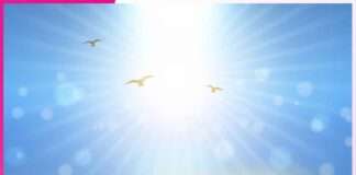 जीवन में धन की उपादेयता money in life