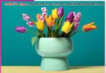 Experiences of Satsangis