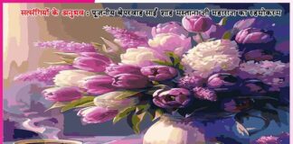 तुम्हारी दुकान बंद नहीं होगी…-सत्संगियों के अनुभव Experiences of Satsangis