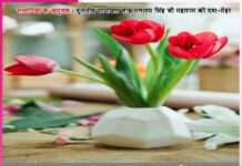 तेरी अब बल्ले-बल्ले है’ -सत्संगियों के अनुभव Experiences of Satsangis