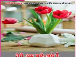 Experiences of Satsangis