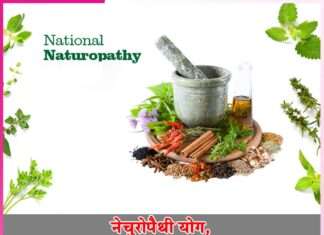 नेचुरोपैथी योग, आहार और पंचकर्म सहित 9उपचार विधियाँ Naturopathy
