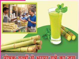 Sugarcane Juice: पोषक तत्वों से भरपूर गन्ने का जूस Sugarcane Juice