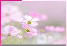 खुद से खुद तक का सफर journey