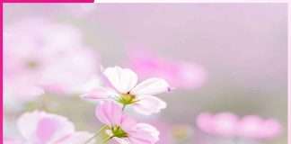 खुद से खुद तक का सफर journey