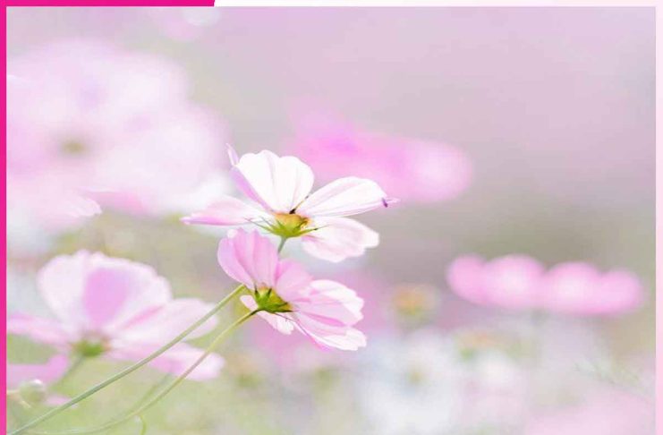 खुद से खुद तक का सफर journey