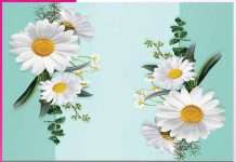 जीवन की डोर thread of life