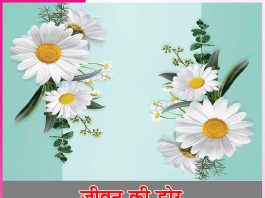 जीवन की डोर thread of life