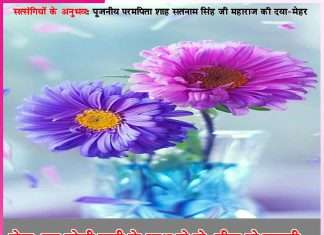 Experiences of Satsangis