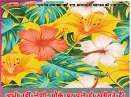 Experiences of Satsangis