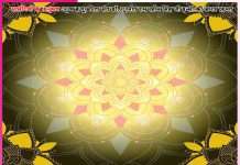 Experiences of Satsangis