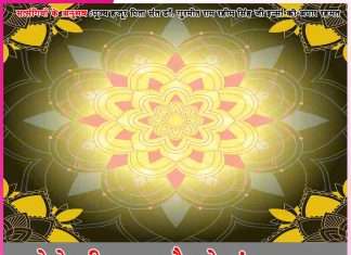 Experiences of Satsangis