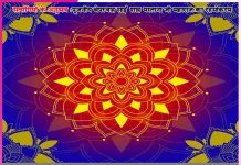 Experiences of Satsangis