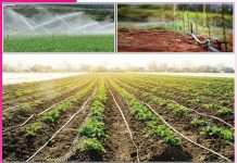 Modern irrigation
