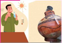 Diet in Summer: गर्मी में ऐसा हो आपका आहार Diet in Summer