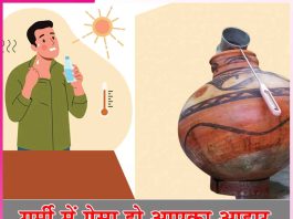 Diet in Summer: गर्मी में ऐसा हो आपका आहार Diet in Summer