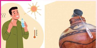 Diet in Summer: गर्मी में ऐसा हो आपका आहार Diet in Summer