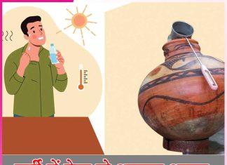 Diet in Summer: गर्मी में ऐसा हो आपका आहार Diet in Summer