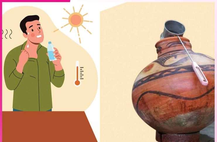 Diet in Summer: गर्मी में ऐसा हो आपका आहार Diet in Summer