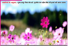 Experiences of Satsangis: मालिक खुद संवारते हैं सेवादारों के सब काज – सत्संगियों के अनुभव Experiences of Satsangis