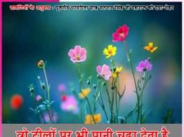 Experiences of Satsangis: वो टीलों पर भी पानी चढ़ा देता है – सत्संगियों के अनुभव Experiences of Satsangis