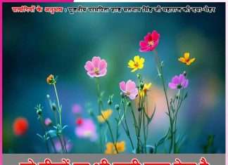 Experiences of Satsangis: वो टीलों पर भी पानी चढ़ा देता है – सत्संगियों के अनुभव Experiences of Satsangis