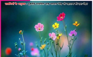 Experiences of Satsangis: वो टीलों पर भी पानी चढ़ा देता है – सत्संगियों के अनुभव Experiences of Satsangis