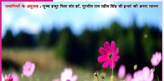 Experiences of Satsangis: मालिक खुद संवारते हैं सेवादारों के सब काज – सत्संगियों के अनुभव Experiences of Satsangis