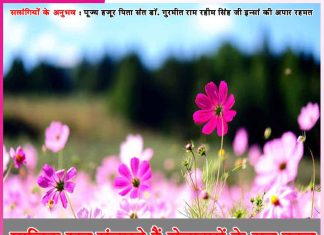 Experiences of Satsangis