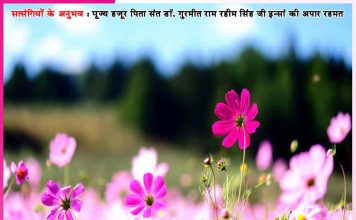 Experiences of Satsangis: मालिक खुद संवारते हैं सेवादारों के सब काज – सत्संगियों के अनुभव Experiences of Satsangis