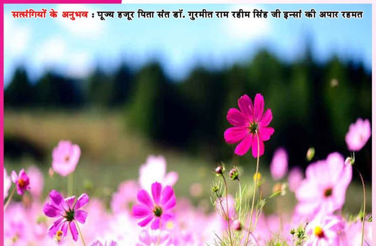 Experiences of Satsangis: मालिक खुद संवारते हैं सेवादारों के सब काज – सत्संगियों के अनुभव Experiences of Satsangis