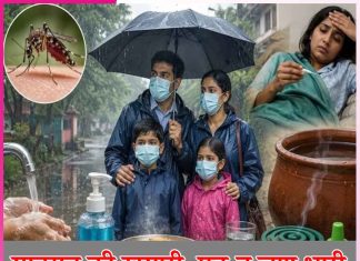 Monsoon: मानसून की खुमारी, पड़ न जाए भारी Monsoon