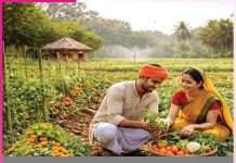 Organic farming: कम लागत में आमदनी बढ़ाने का जरिया जैविक खेती Organic farming