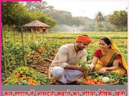 Organic farming