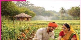 Organic farming: कम लागत में आमदनी बढ़ाने का जरिया जैविक खेती Organic farming