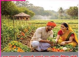 Organic farming