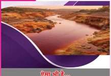 Rivers: ऐसा भी है… कहीं खारी, तो कहीं शहद-सी मीठी है नदियाँ