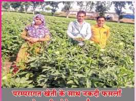 Farming to Cash Crops
