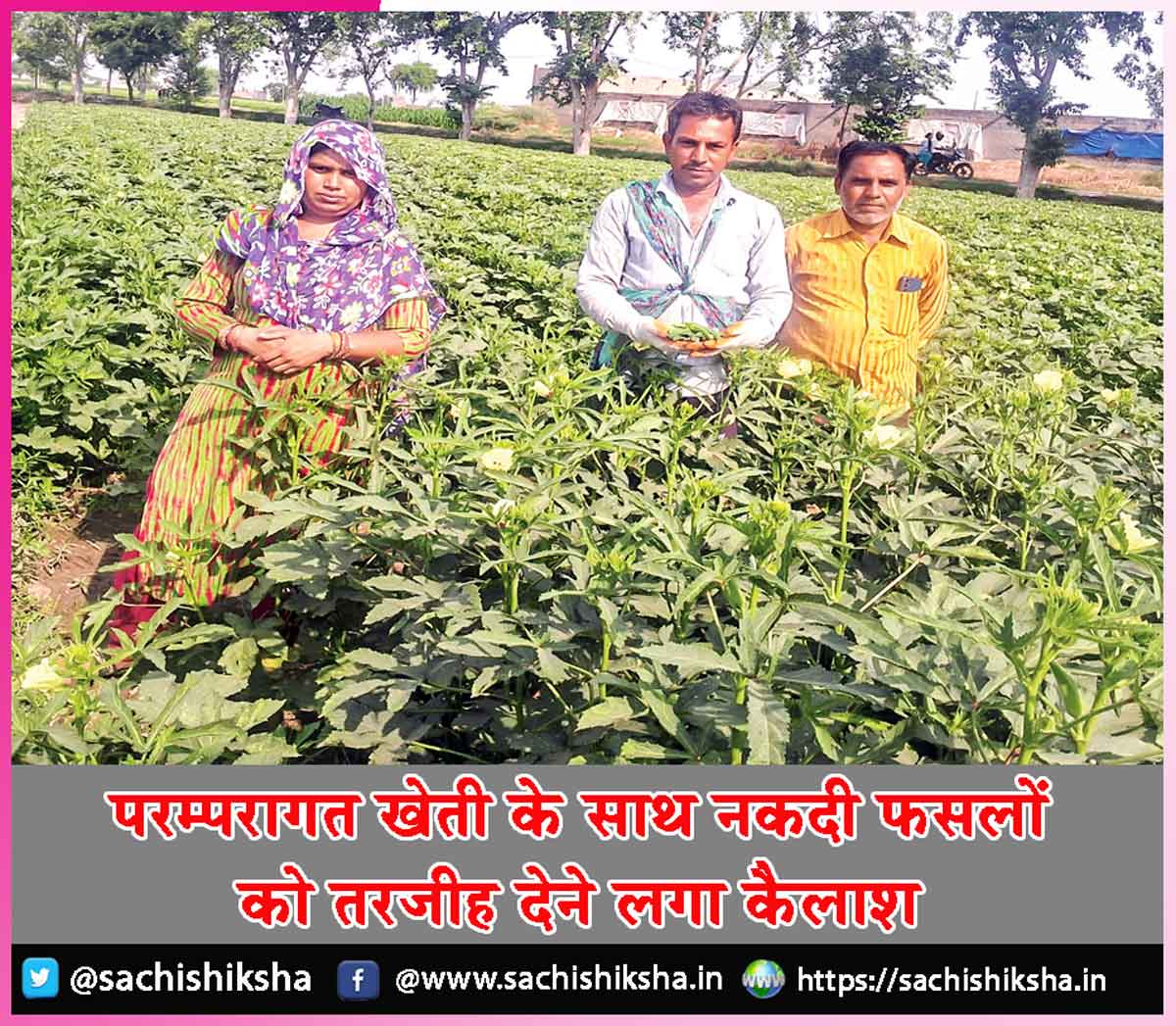 Farming to Cash Crops Farming to Cash Crops