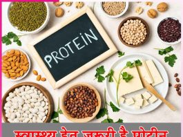 Protein: स्वास्थ्य हेतू जरूरी है प्रोटीन