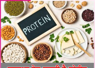 Protein: स्वास्थ्य हेतू जरूरी है प्रोटीन