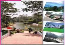 Ranikhet: प्रकृति का अनुपम सौंदर्य रानीखेत Ranikhet