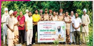 Avatar Diwas